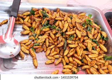 928 Fried larva silk worms Images, Stock Photos & Vectors | Shutterstock