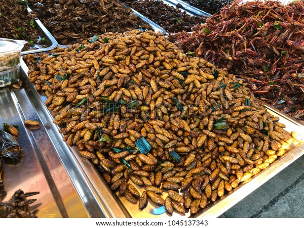 Fried Silkworms Recipe Street Food Thailand Stock Photo 1045137343 ...