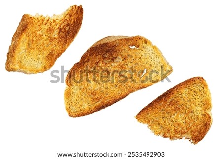 Fried slices of bread for toast. Isolation on a white background.