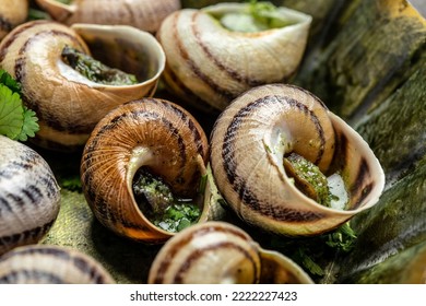 Fried snails Escargots de Bourgogne with herbs, butter, garlic on metal plate with forks, wine glass. gourmet food. Restaurant menu, dieting, cookbook recipe. - Powered by Shutterstock