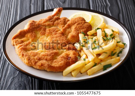 Fried veal cutlet Milanese with lemon and French fries close-up on a plate on a table. Horizontal
