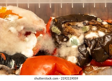 Fried Vegetables Rotted Into A Plastic Food Container. Concept: Decomposition Products, Food Poisoning.