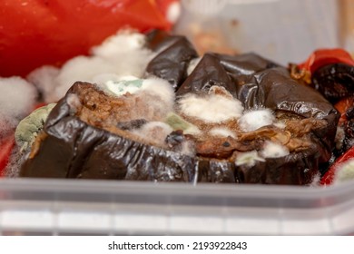 Fried Vegetables Rotted Into A Plastic Food Container. Concept: Decomposition Products, Food Poisoning 1.