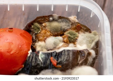 Fried Vegetables Rotted Into A Plastic Food Container. Concept: Decomposition Products.