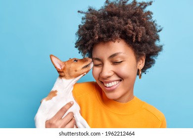 Friend Of Family. Close Up Shot Of Happy Curly Haired Woman Plays With Dog Expresses Positive Emotions Likes Animals. Small Pedigree Puppy Licks Face Of Owner. Adopted Pet. Tender Sincere Feelings