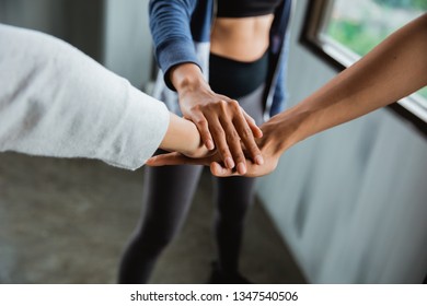 friend sport shake hand in the gym after exercising together - Shutterstock ID 1347540506