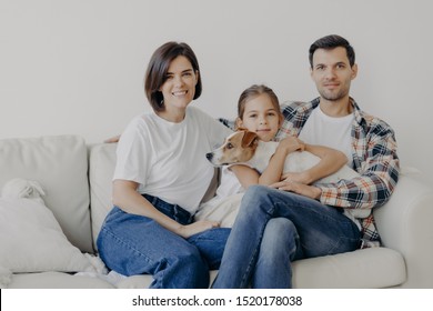 5,709 Person sitting on couch with dog Stock Photos, Images ...