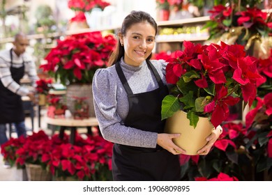 Friendly female flower shop owner offering blooming potted plants Poinsettias pulcherrima for sale