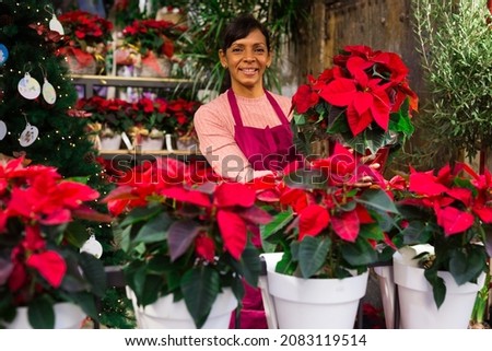 Friendly female flower shop owner offering blooming potted plants Poinsettias pulcherrima for sale