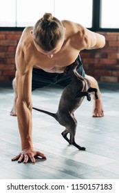 Friendly And Helpful Yoga Training Companion. Sphynx Cat And His Owner Relaxing Together After Gym Workout. Physical Exercises For Fit And Strong Male Body.