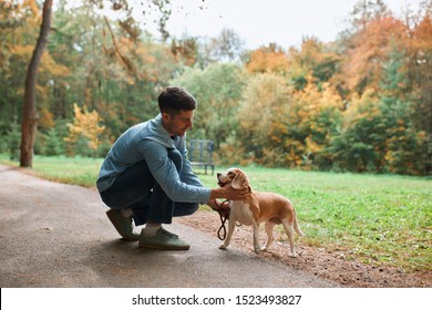 犬 なでる の写真素材 画像 写真 Shutterstock