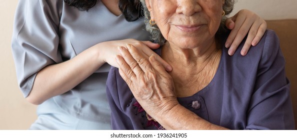 Friendly relationship between caregiver and happy eldery woman during nursing at home. Senior services and geriatric care concept.