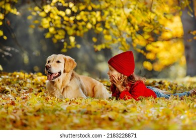 Friendly relationship between child and dog. Warm colors of autumn in the park.. A child in knitted red clothes next to a golden retriever. - Powered by Shutterstock