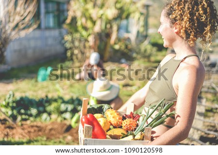 Similar – Image, Stock Photo Greenhouse Market garden