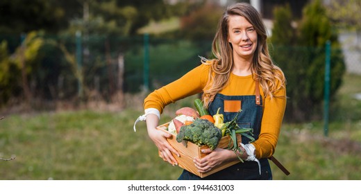 Friendly woman harvesting fresh vegetables from her farm. Beautiful female carrying carte full fresh harvest in the farm. Autumn harvest. Support your local organic farmer - Powered by Shutterstock