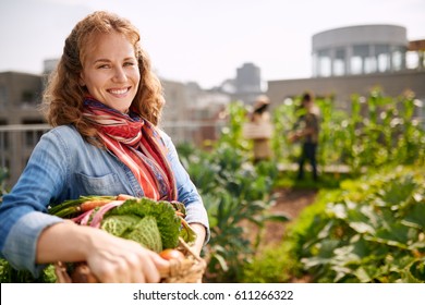 Friendly Woman Harvesting Fresh Vegetables From The Rooftop Greenhouse Garden