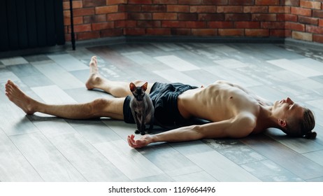 Friendly Yoga Training Companion. Sphynx Cat And His Owner Relaxing Together After Gym Workout. Physical Exercises For Fit And Strong Male Body. Man Lying On The Floor.