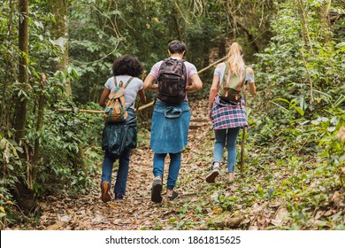 Friends With Backpacks Walking In The Countryside - Group Of Walking Friends Walking In The Jungle.