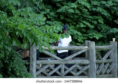 Patio Green Images Stock Photos Vectors Shutterstock