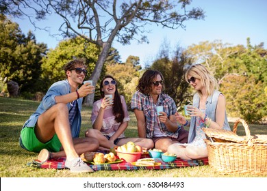 Friends Having Picnic In Park On A Sunny Day