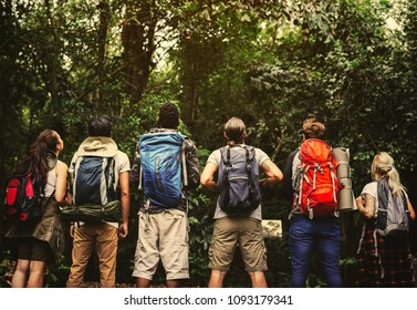 Friends hiking in a forest