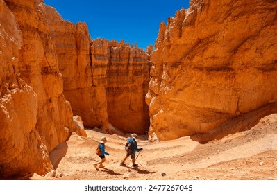 Friends  hiking in the mountains on summer vacation. People hiking  Wall Street on the Navajo Loop Trail. Bryce Canyon National Park, Utah, USA. - Powered by Shutterstock