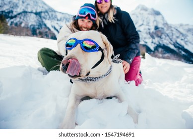 Friends playing with dog on the mountains, on th snowy ground - Powered by Shutterstock