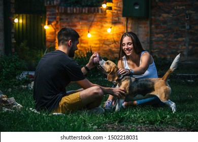 Friends Playing With Their Dog Outdoor At Home Backyard. Night Scene