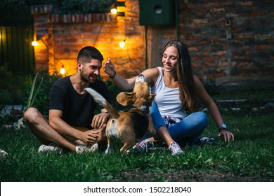 Friends Playing With Their Dog Outdoor At Home Backyard. Night Scene