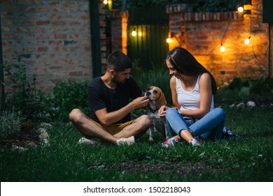 Friends Playing With Their Dog Outdoor At Home Backyard. Night Scene