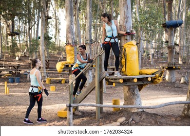 Friends Preparing For Zip Line In Forest On A Sunny Day