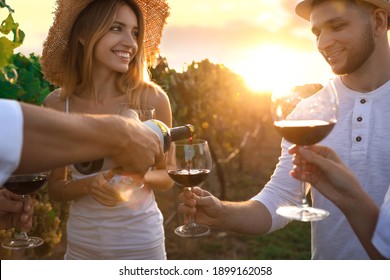 Friends tasting red wine in vineyard on sunny day, closeup