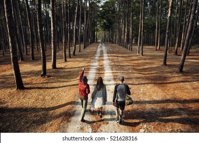 Friends Walking Exploring Outdoors Concept