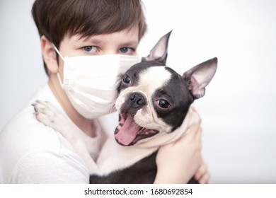 Friends-a Boy In A Medical Mask And A Boston Terrier Dog With A Happy Smile Hug Merrily. The Concept Of Quarantine, Virus, And Isolation.