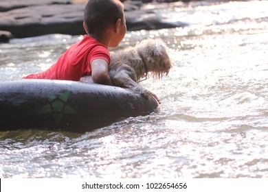 Friendship With A Boy And A Dog Helping In The River