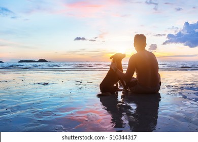 friendship concept, man and dog sitting together on the beach at sunset - Powered by Shutterstock
