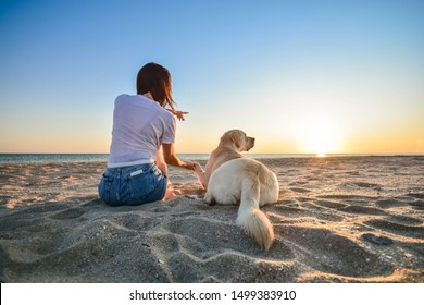 Friendship concept with woman and dog sitting together on a beach and enjoying sunset