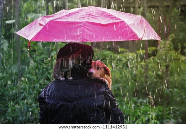 Friendship of a human with a\
cat and a dog. A kitten and a puppy are sitting hiding from the\
rain under an umbrella. Man shelters from heavy rain with his cat\
and dog