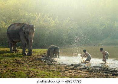 Friendship Of People And Animals With Elephant In The Family.
