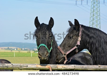 Similar – Foto Bild Zaungast Freizeit & Hobby