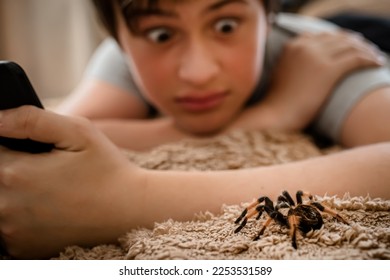 A frightened child with a tablet saw a terrible huge spider on the bed. Arachnophobia.