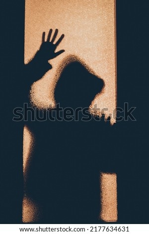 Frightening dark shadow of a man behind a frosted glass at night. Thief or intruder behind the door, criminal intent