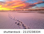 Frigid winter morning on the shores of this frozen Colorado Lake. Footprints along the shore where ice fishermen have stepped leading out to the fishing holes. The colorful clouds light up the sky