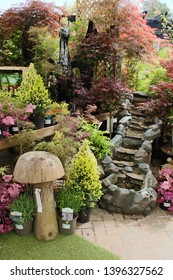 Gardening In Home Images Stock Photos Vectors Shutterstock