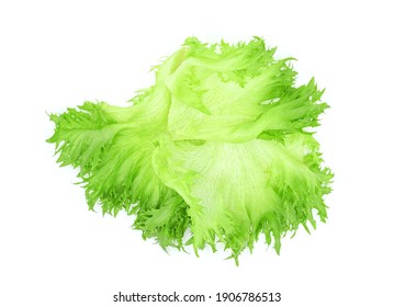 Frillice Iceberg Lettuce Leaves Isolated On White Background. Top View