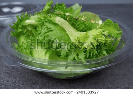 Frillis salad with with seed sproutson plate and Seedlings of plant seeds for healthy nutrition.