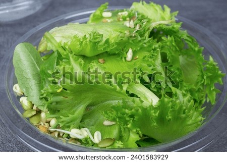 Frillis salad with with seed sproutson plate and Seedlings of plant seeds for healthy nutrition.