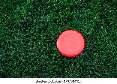 Frisbee Flying Saucer Lies On The Grass