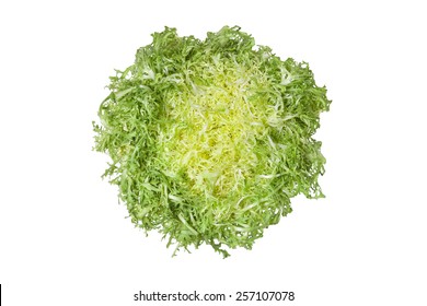 Frisee Lettuce Images Stock Photos Vectors Shutterstock