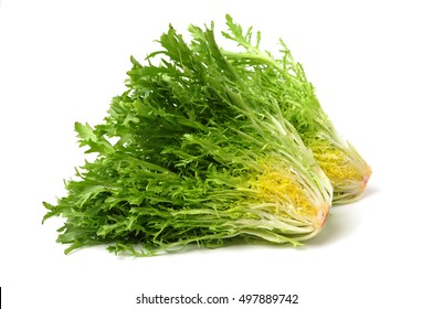 Frisee Lettuce Images Stock Photos Vectors Shutterstock Frisee Lettuce Images Stock Photos Vectors Shutterstock